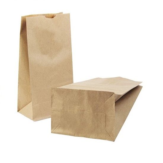 30 PCS Brown Kraft Paper Grocery Bags